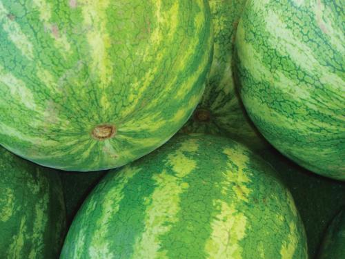 Whole Watermelons